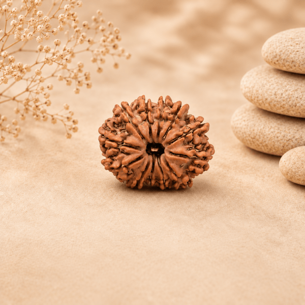 12 mukhi Rudramrit
