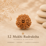 12 Mukhi Nepali Rudraksha | For Leadership, Confidence, Success & Vitality