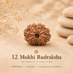 12 Mukhi Nepali Rudraksha | For Leadership, Confidence, Success & Vitality