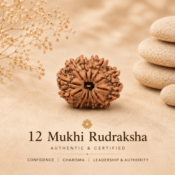 12mukhirudraksha1 Rudramrit