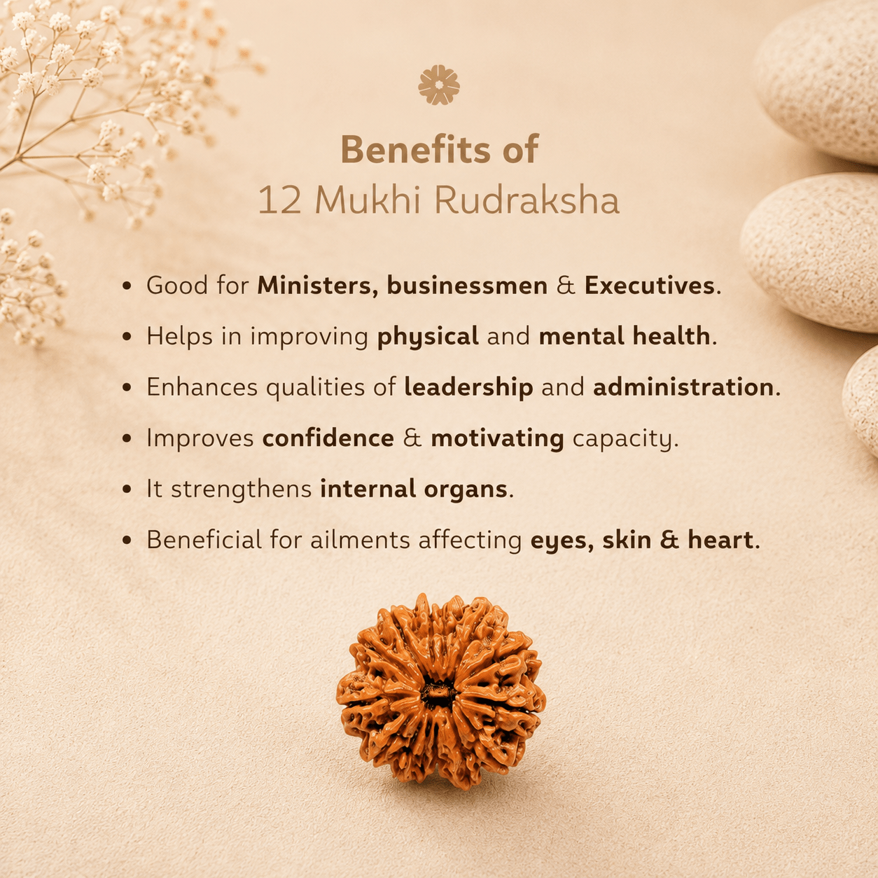 12mukhirudraksha1 Rudramrit
