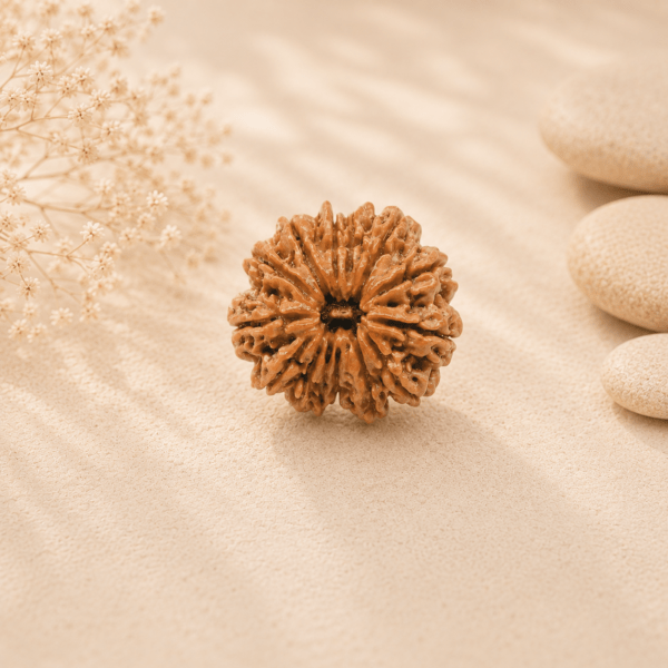 12mukhirudraksha2 Rudramrit