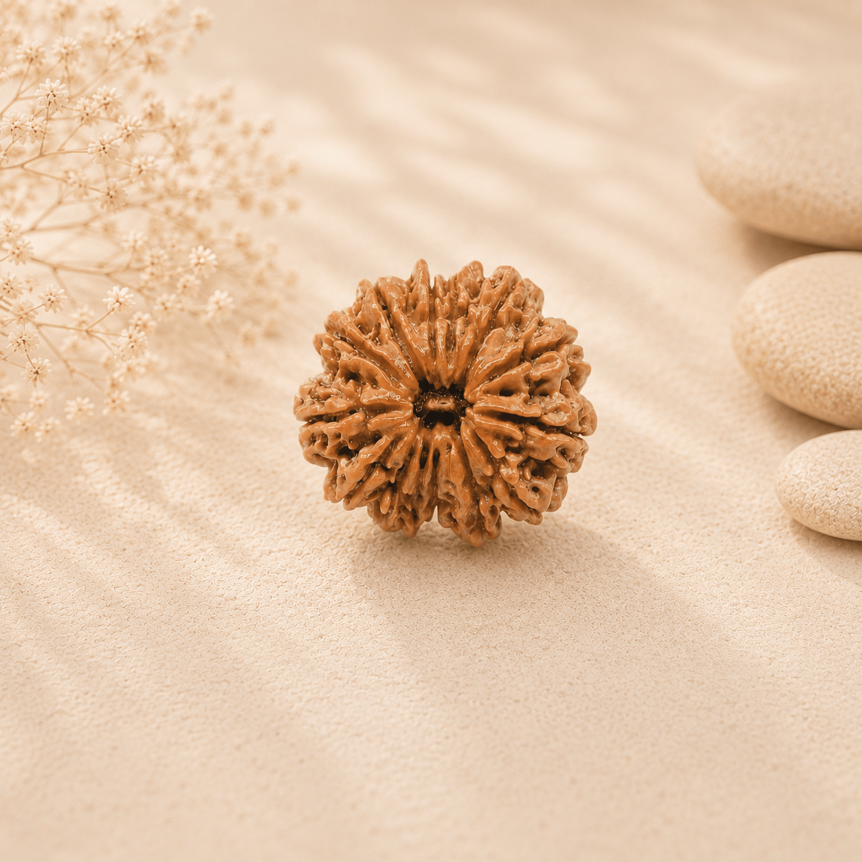 12mukhirudraksha2 Rudramrit