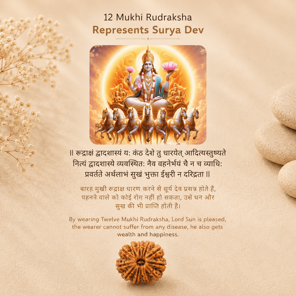 12mukhirudrakshasuryadev Rudramrit