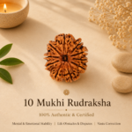 10 Mukhi Nepali Rudraksha | For Protection, Peace & Positive Energy