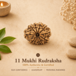 11 Mukhi Nepali Rudraksha | For Self-Confidence, Leadership & Personal Radiance
