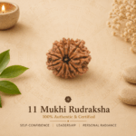 11 Mukhi Nepali Rudraksha | For Self-Confidence, Leadership & Personal Radiance