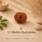 13 Mukhi Nepali Rudraksha | For Wealth, Relationships, Charisma & Vitality