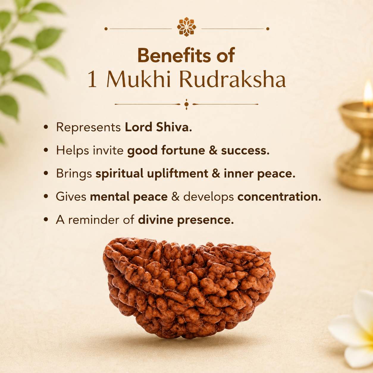 1_mukhi_rudraksha_kaju_dana_1