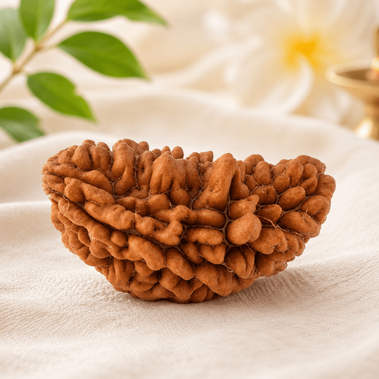 1_mukhi_rudraksha_kaju_dana_2