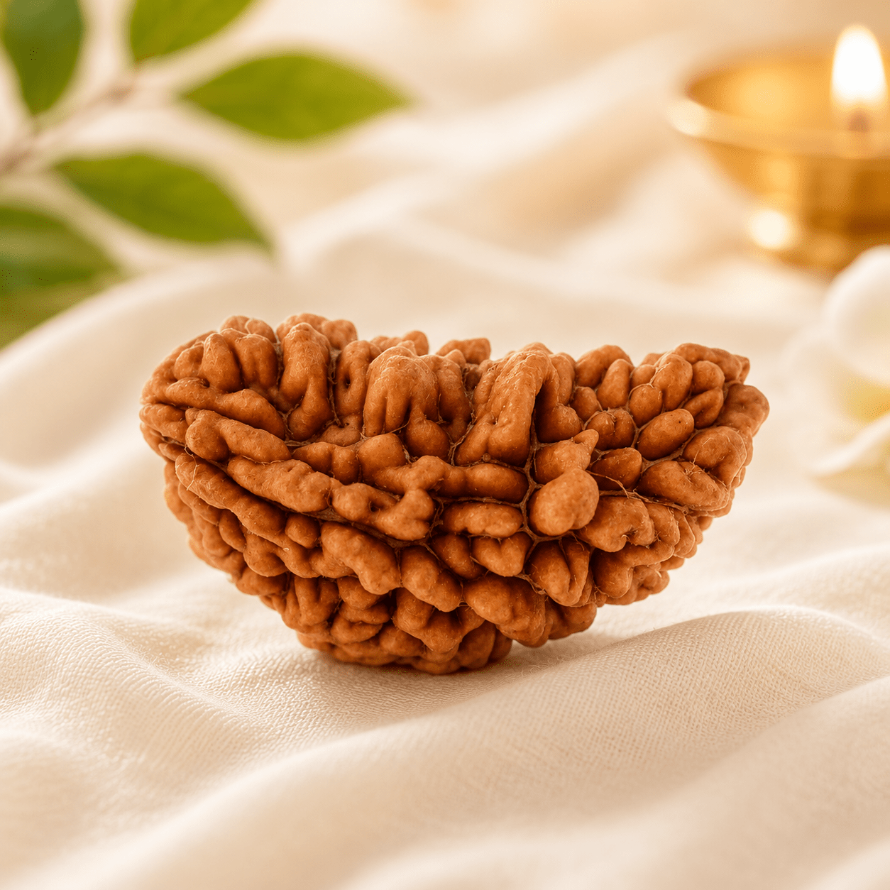 1_mukhi_rudraksha_kaju_dana_3