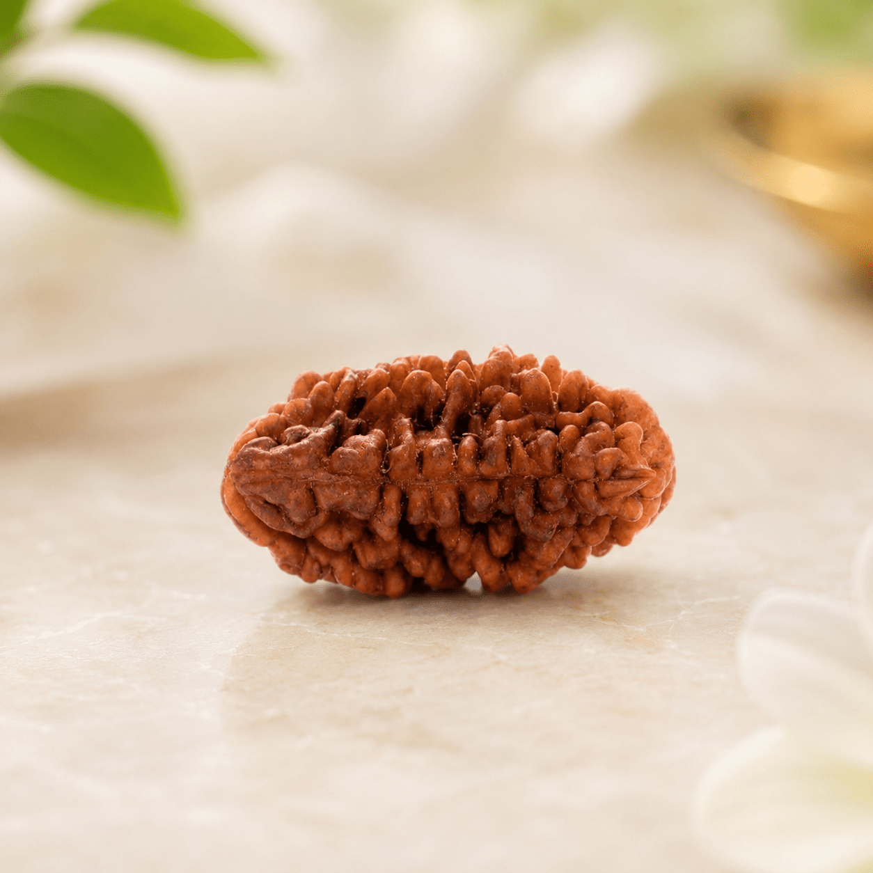1_mukhi_rudraksha_kaju_dana_4