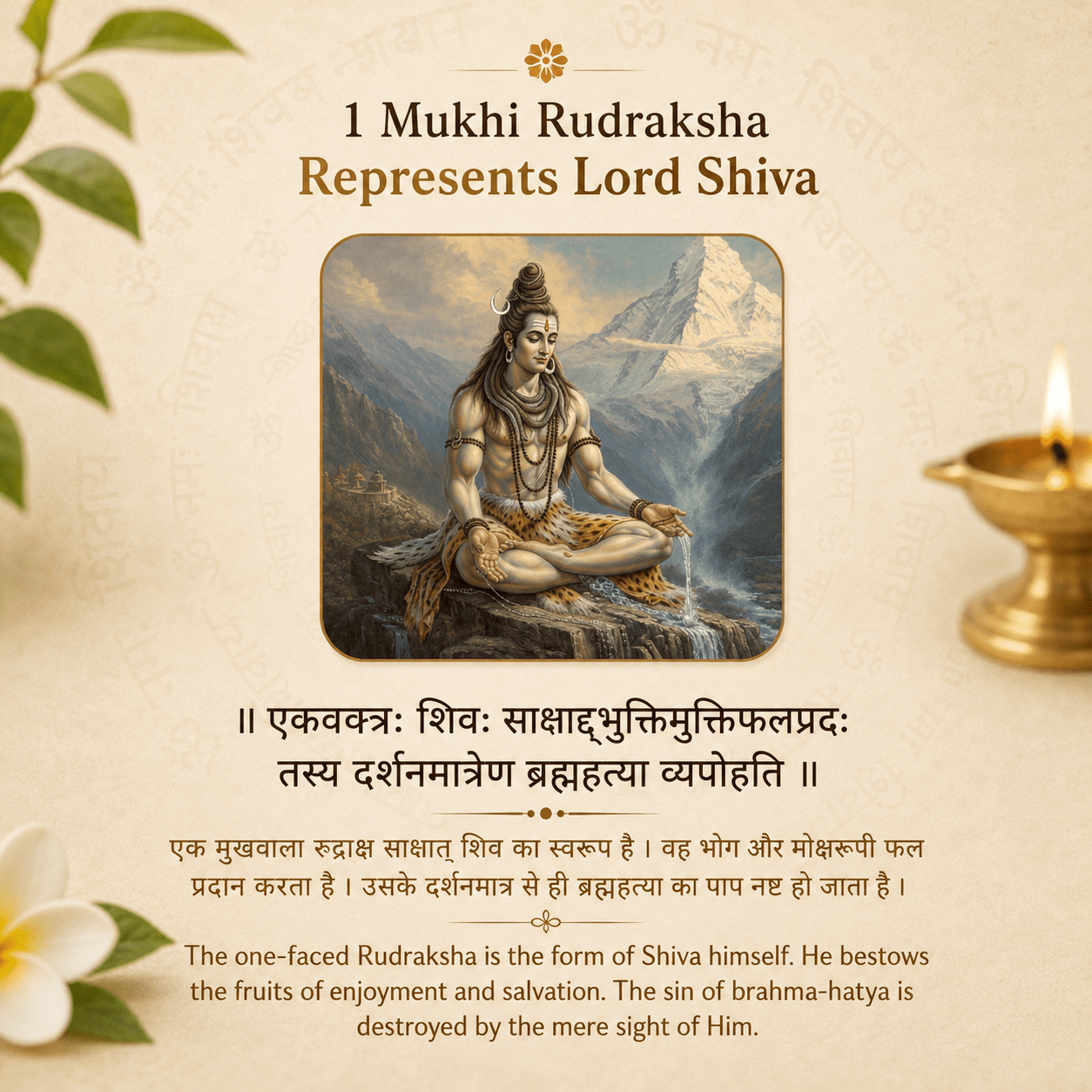 1_mukhi_rudraksha_kaju_dana_5