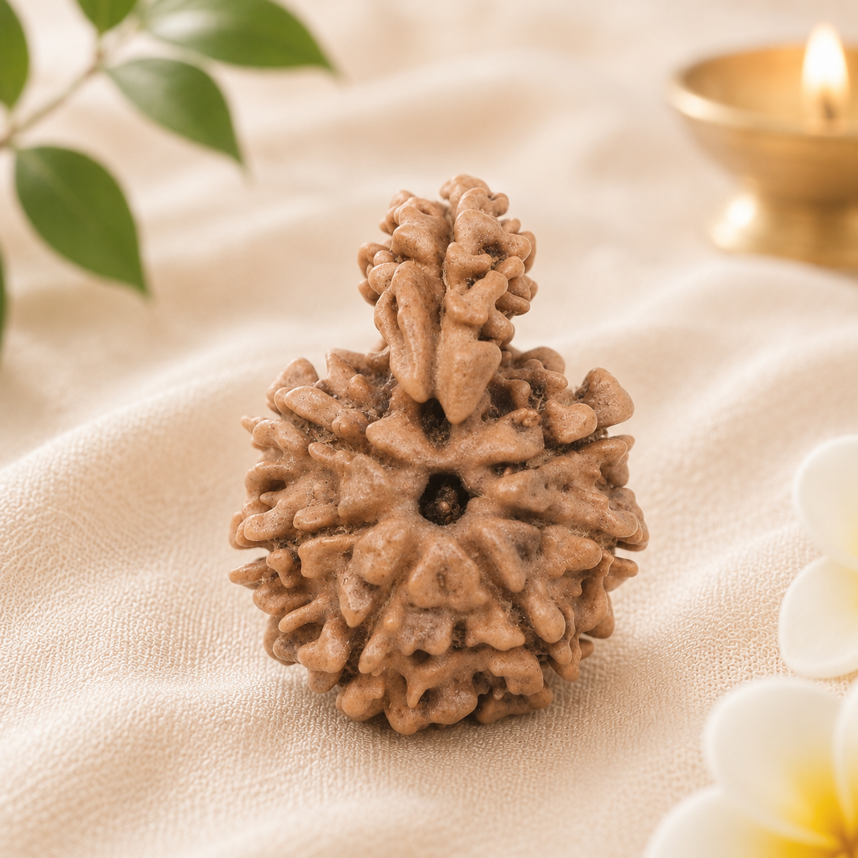 1_mukhi_sawar_rudraksha_1