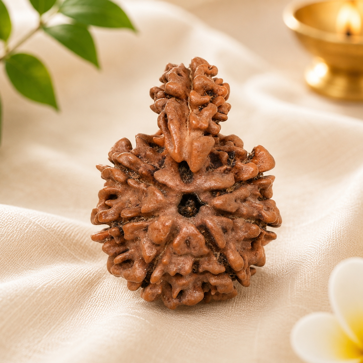 1_mukhi_sawar_rudraksha_2