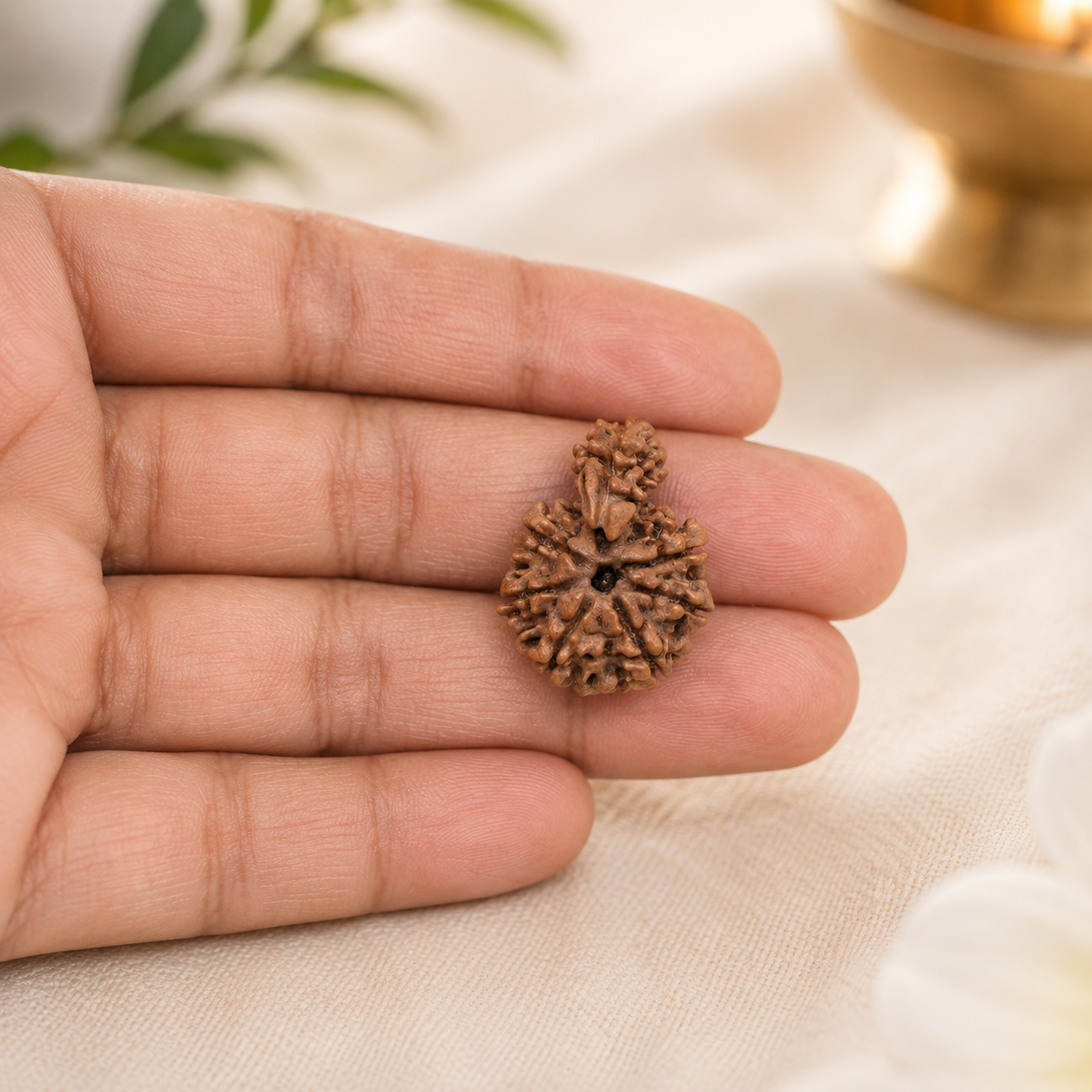 1_mukhi_sawar_rudraksha_3