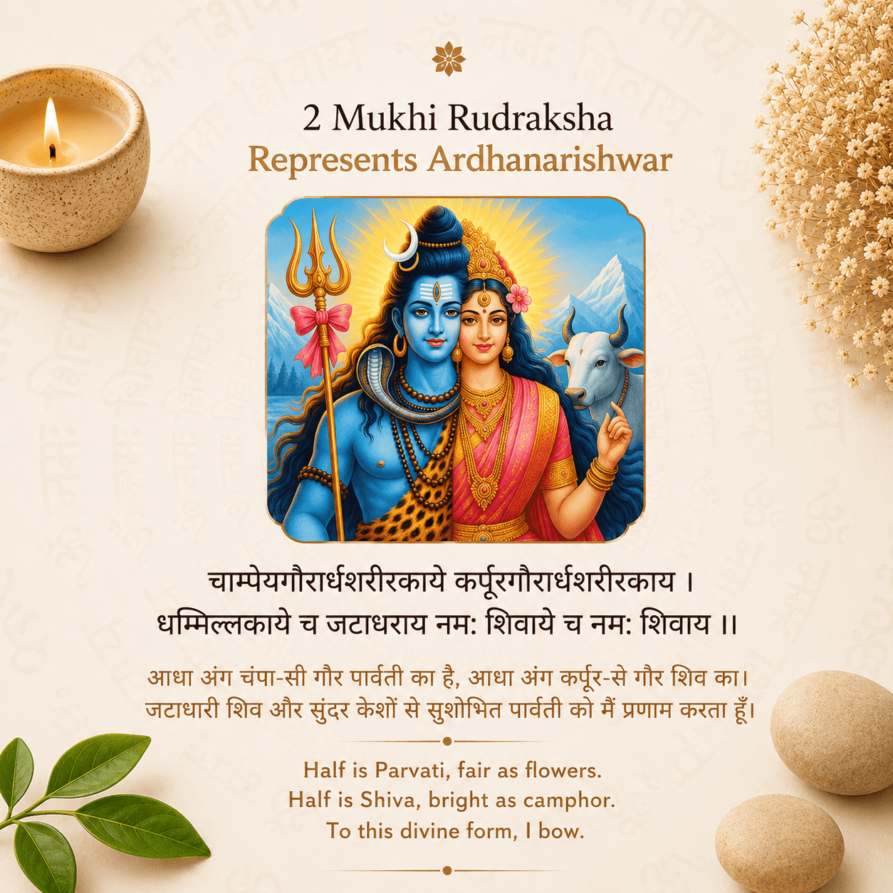 2_mukhi_kajudana_rudraksha_3