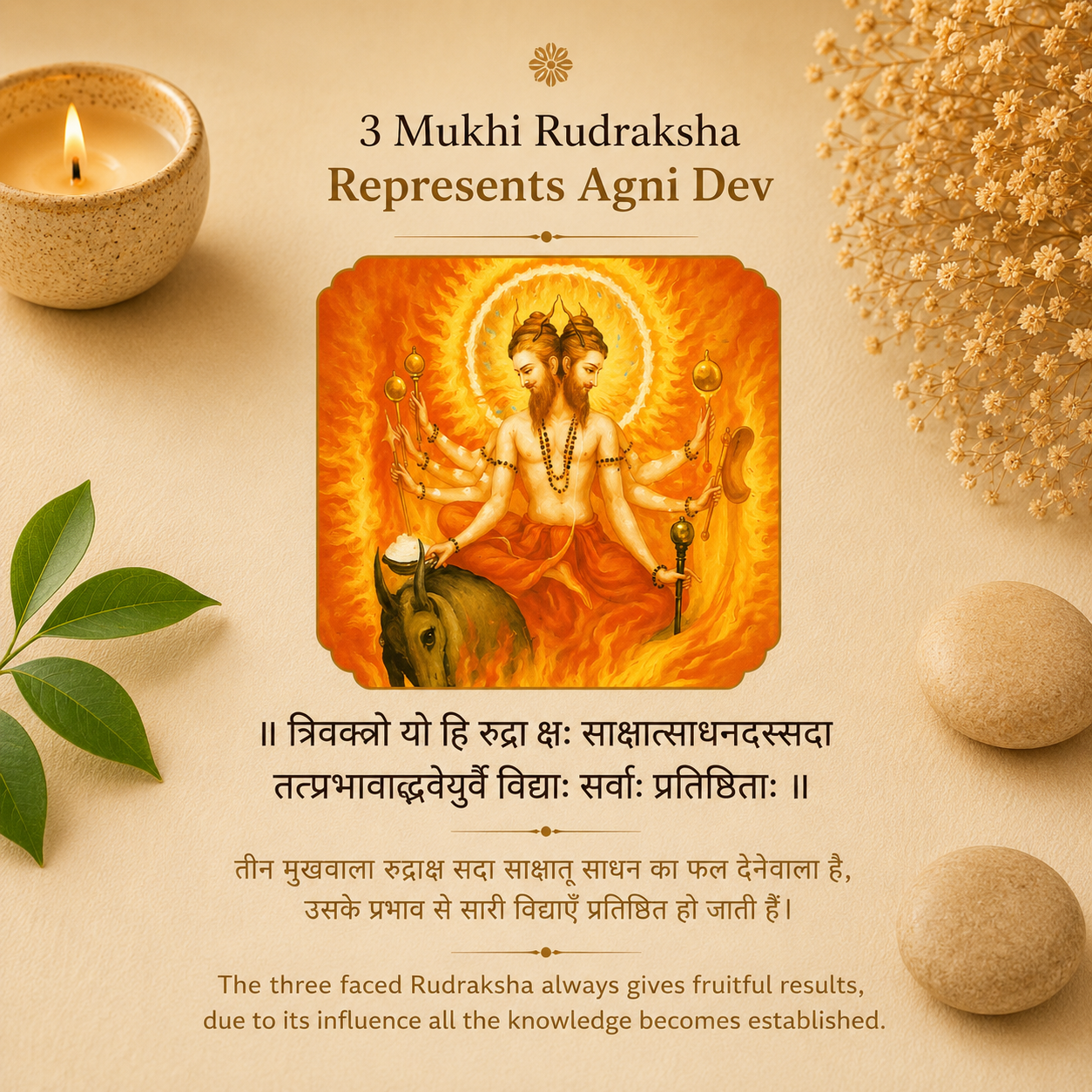 3_mukhi_nepali_rudraksha_3