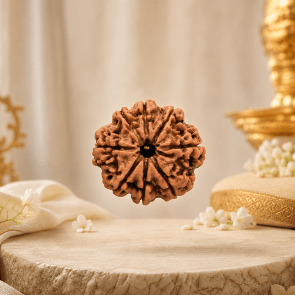 8mukhinepalirudraksha2 Rudramrit