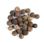 Rudraksha Fruit | Nepali Rudraksh with Natural Shell