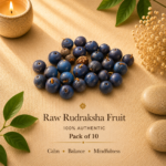 Natural Nepali Rudraksha Fruit with Shell | For Seed Collection & Spiritual Interest (Pack Of 10)