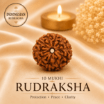 Natural 10 Mukhi Indonesian Rudraksha | For Protection, Peace & Spiritual Growth