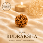 Natural 7 Mukhi Indonesian Rudraksha | For Prosperity, Confidence & Spiritual Growth