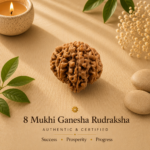8 Mukhi Ganesha Rudraksha (Nepali) | For Wisdom, Success & Obstacle Removal