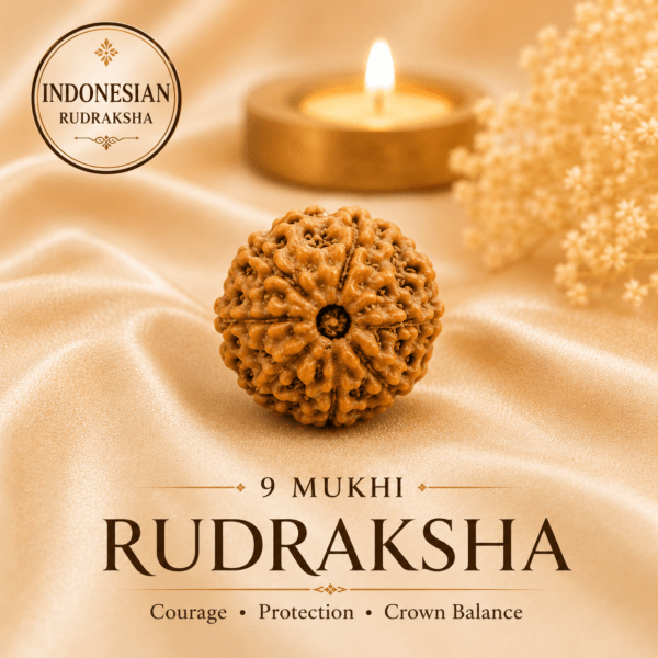 Natural 9 Mukhi Indonesian Rudraksha | For Courage, Protection & Spiritual Growth