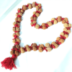 Gauri Shankar Rudraksha Kantha Mala (Nepali)