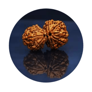 Special Rudraksha