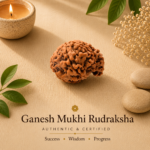 Nepali Ganesh Rudraksha | For Wisdom, Prosperity & Obstacle Removal
