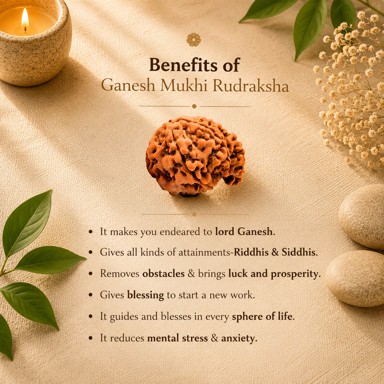 ganesh_rudraksha_2
