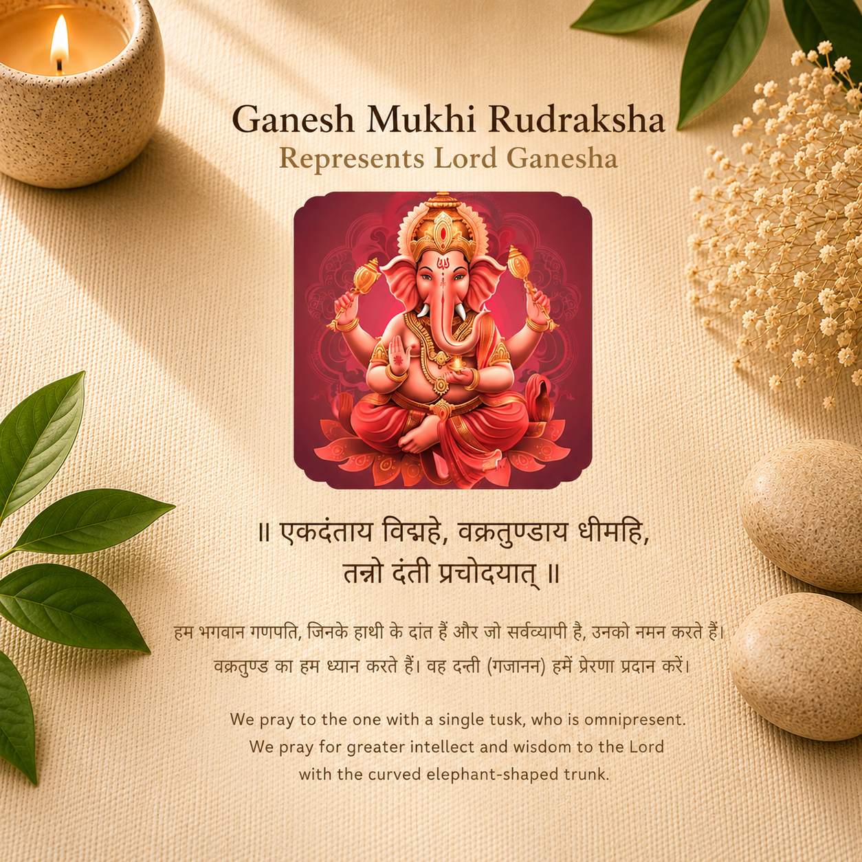 ganesh_rudraksha_3